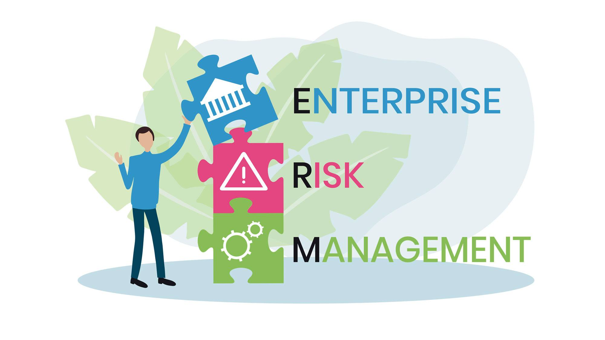 Enterprise Risk Management